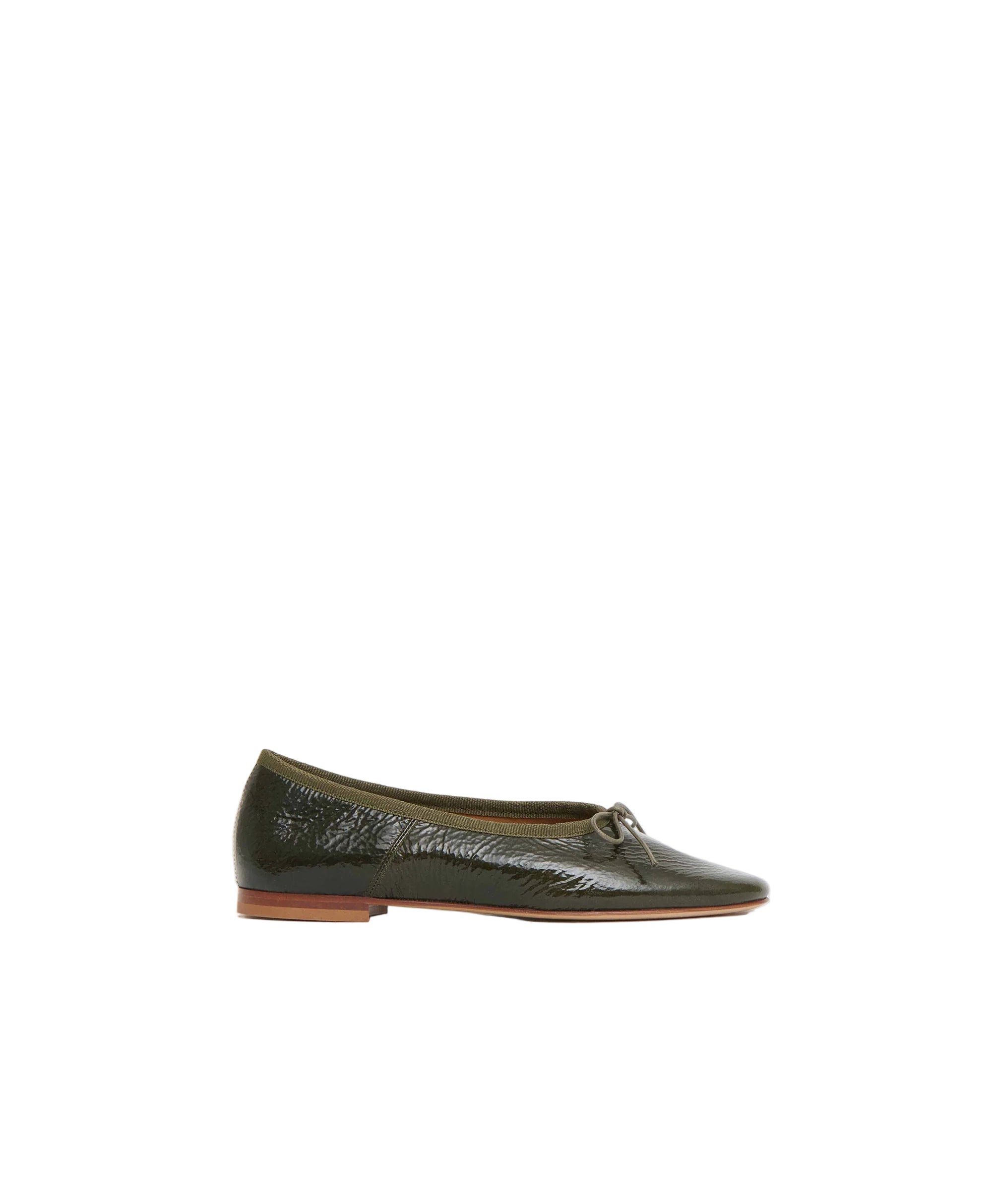 Dream Ballerina Shoes