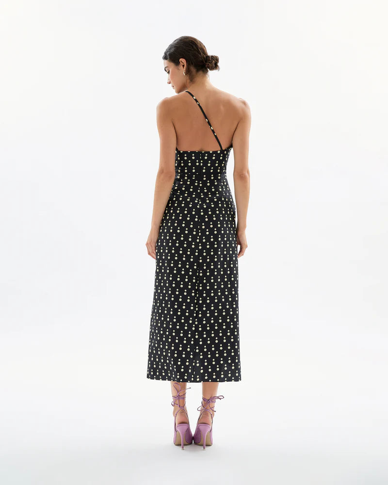 Charlotte Dot Dress