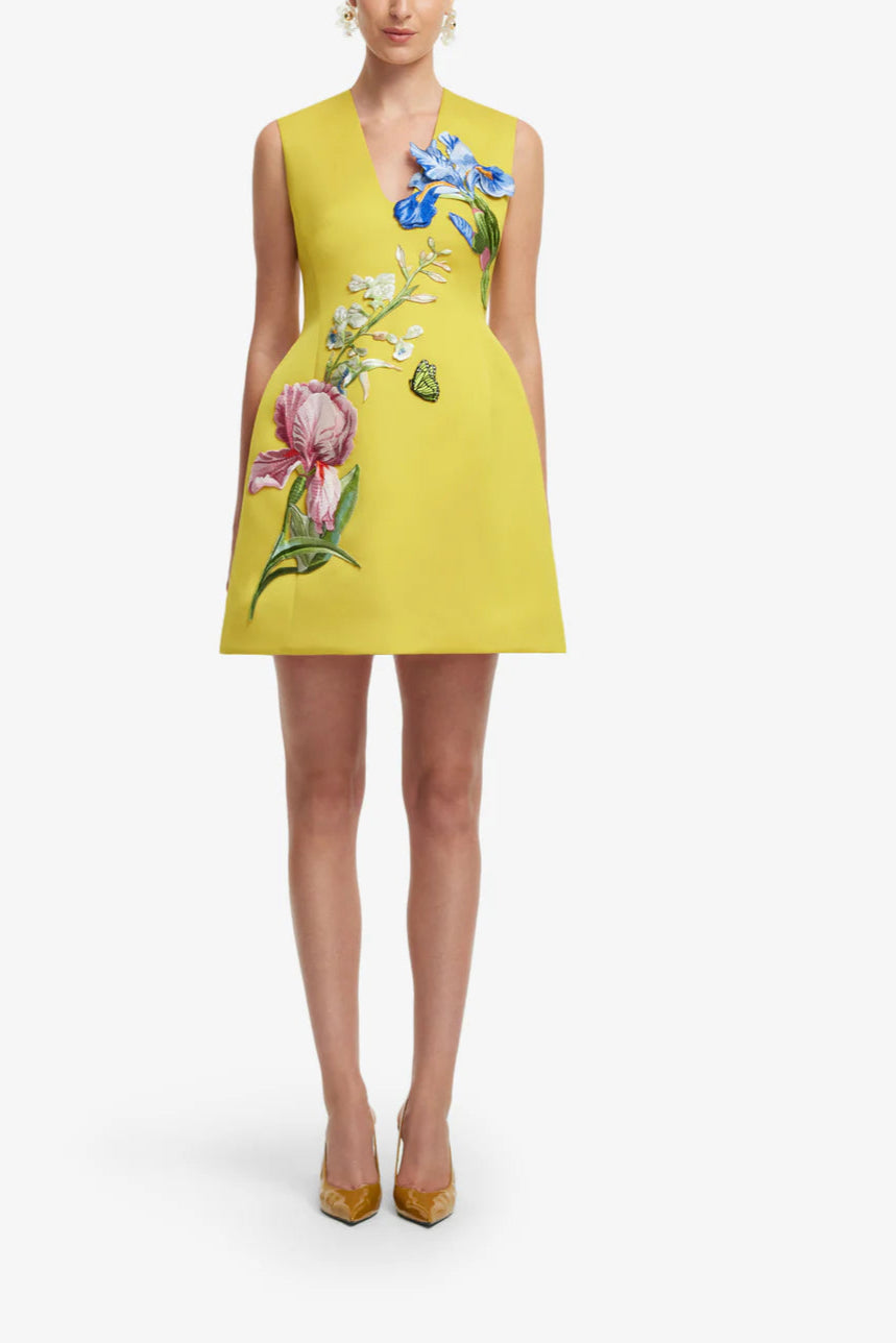 Bree V Neck Embroidery Mini Dress