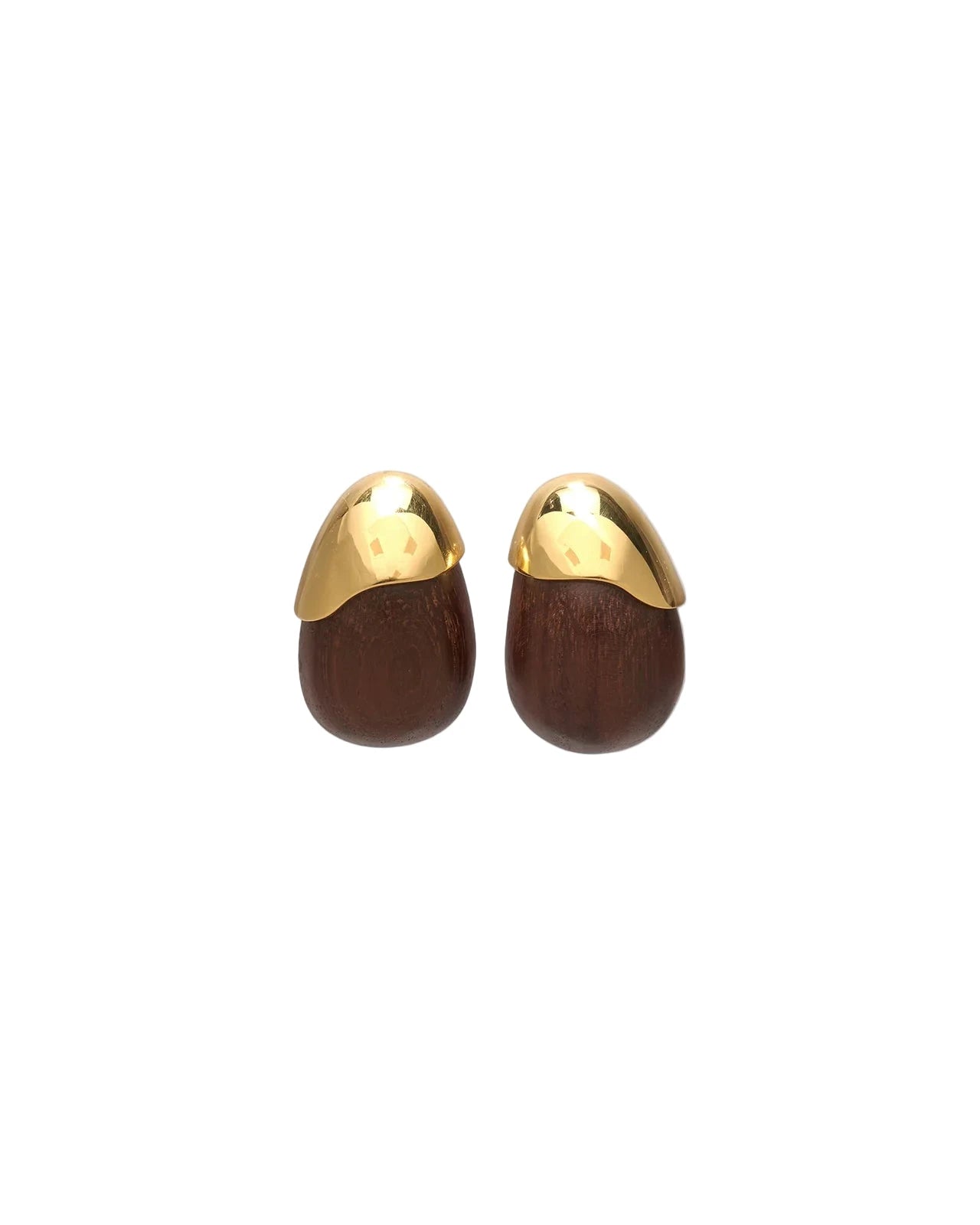 Toro Earrings
