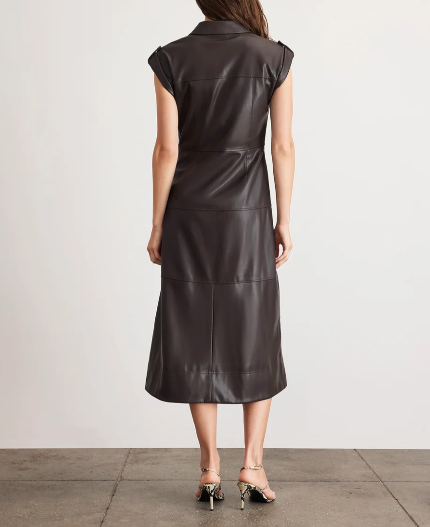 Shivi Dress