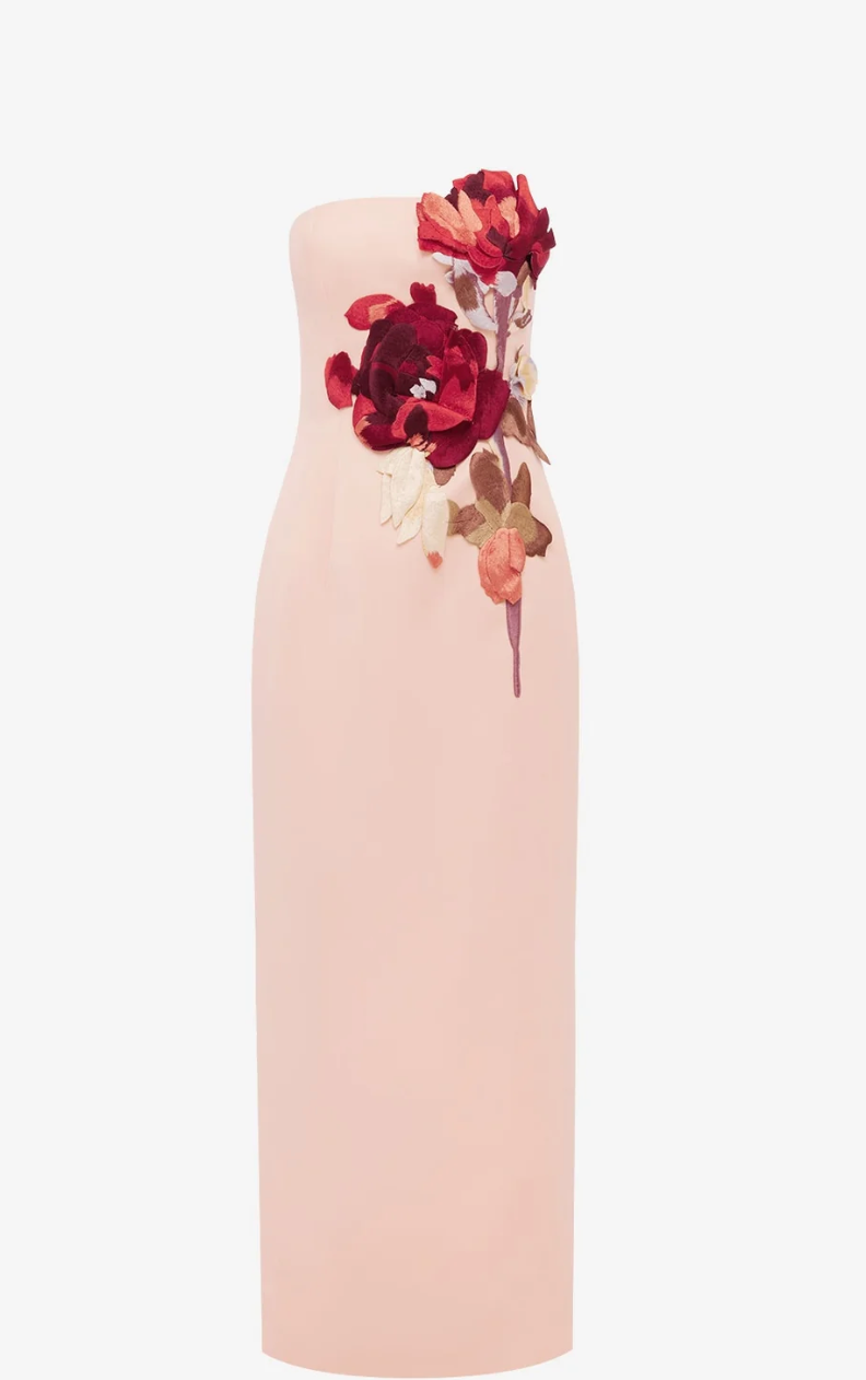 Rayna Embroidered Bustier Maxi Dress