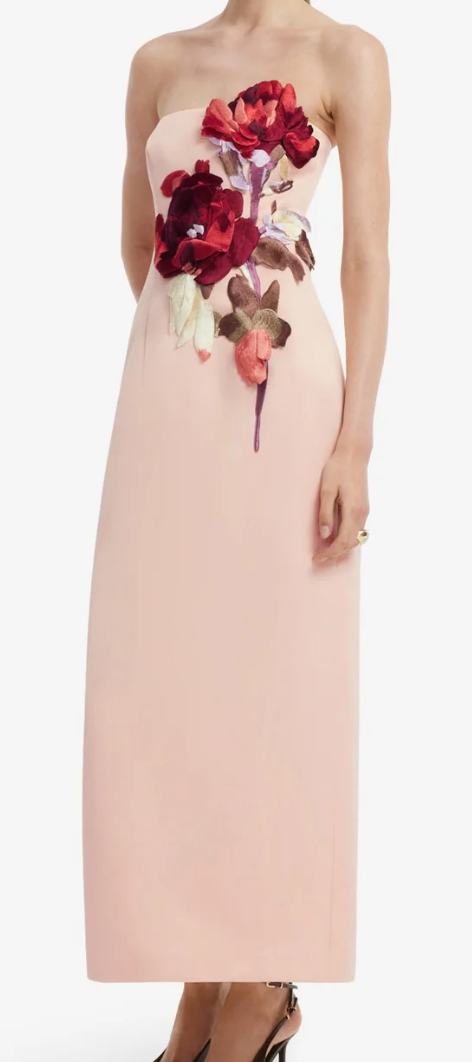 Rayna Embroidered Bustier Maxi Dress
