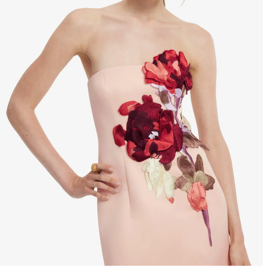 Rayna Embroidered Bustier Maxi Dress