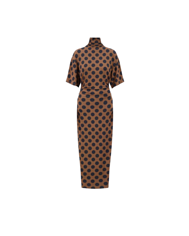 Polka Dot Turtleneck Dress