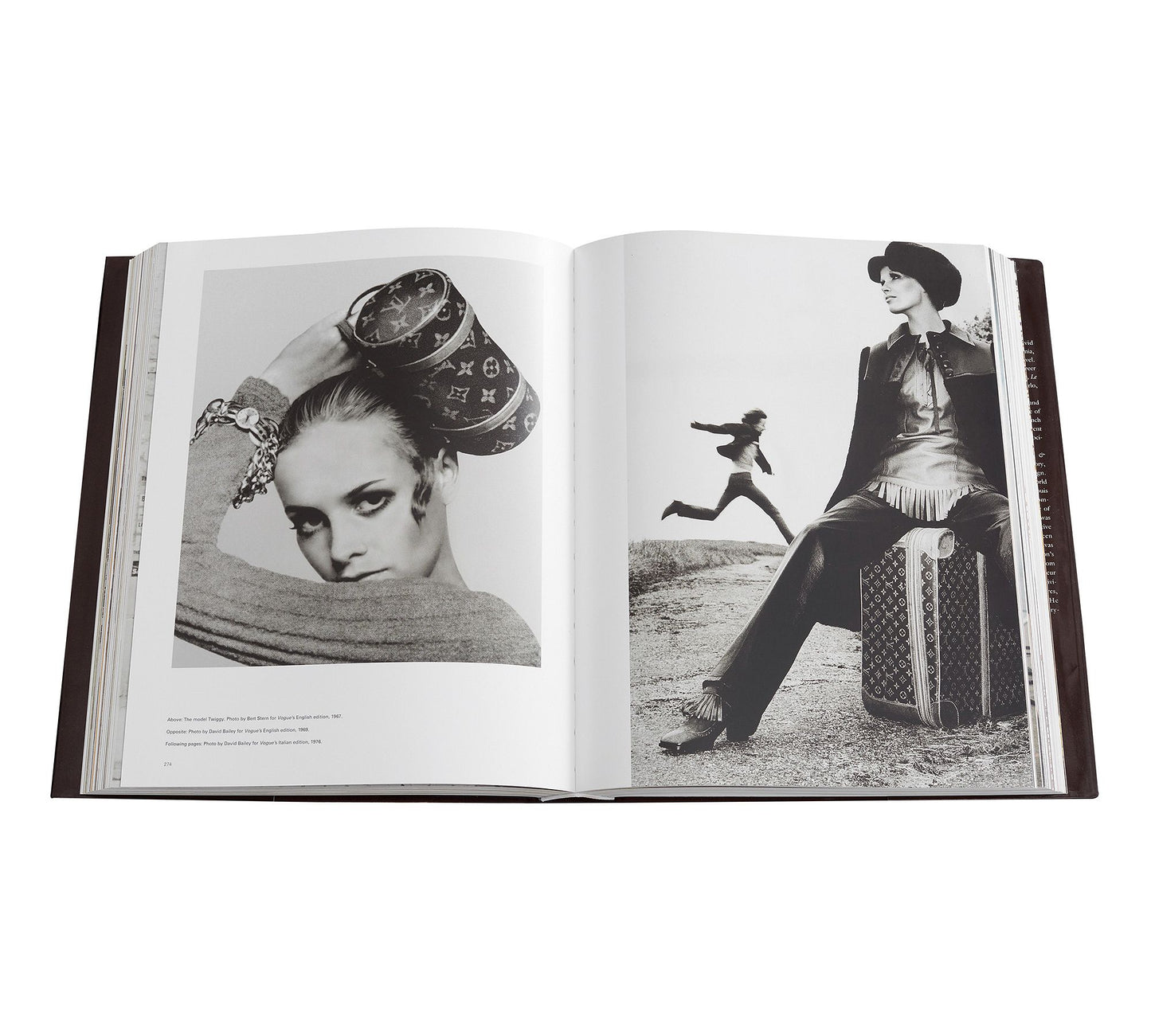 Louis Vuitton Book