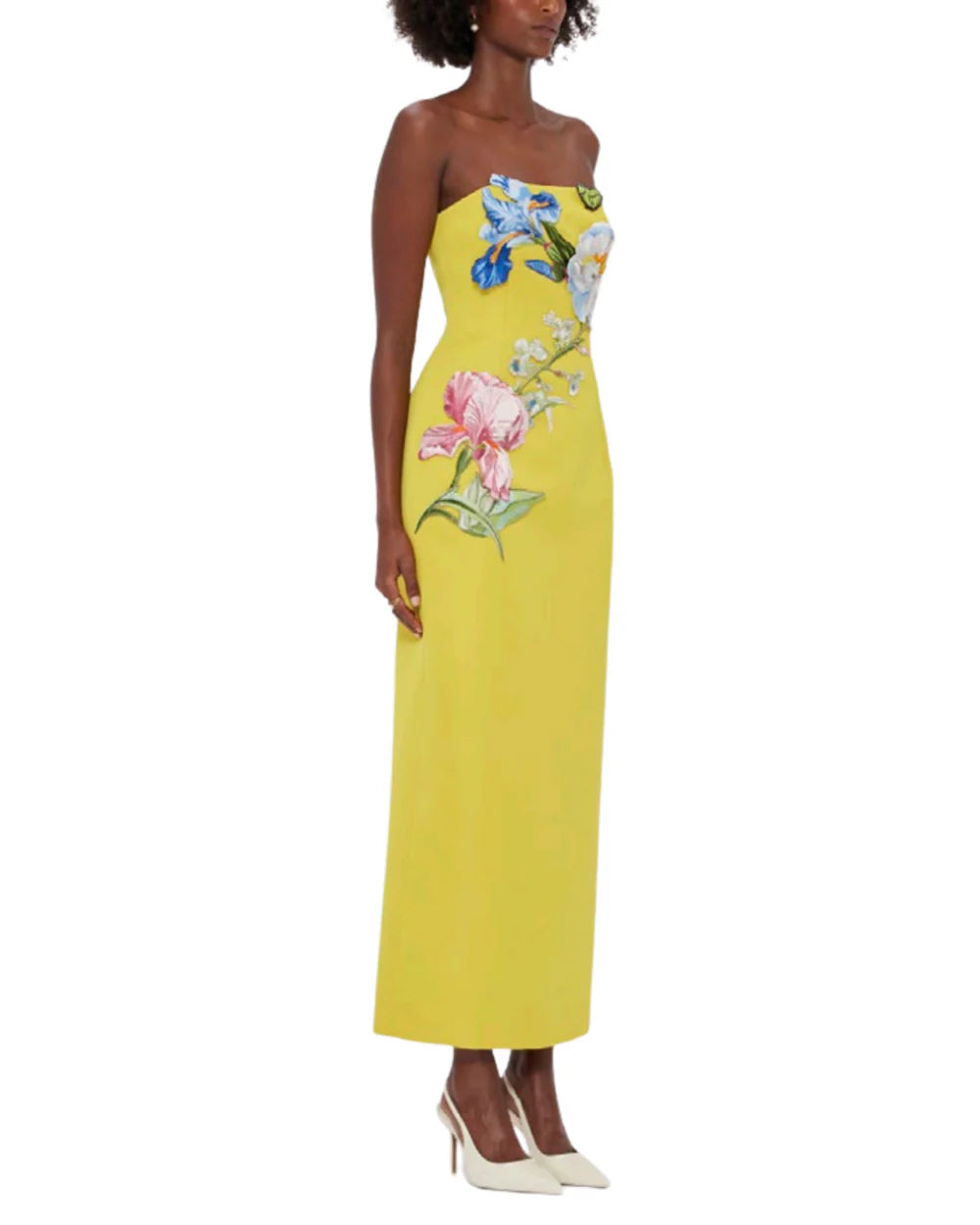 Rayna Applique Floral Bustier Maxi Dress