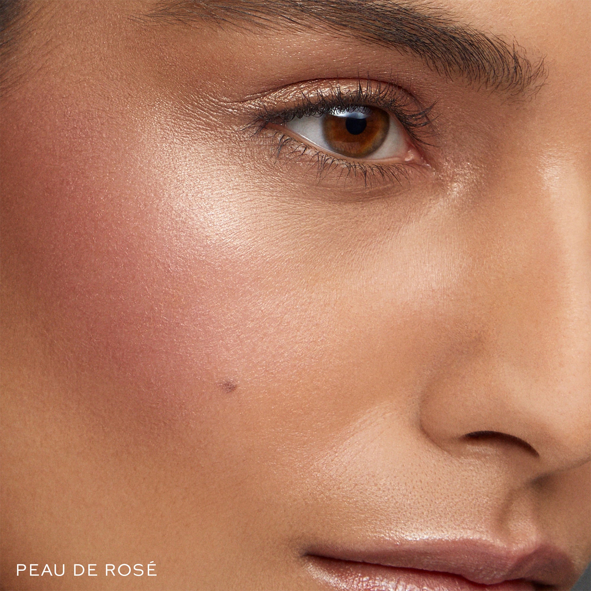 Super Loaded Tinted Highlight - The Lake Forest Shop