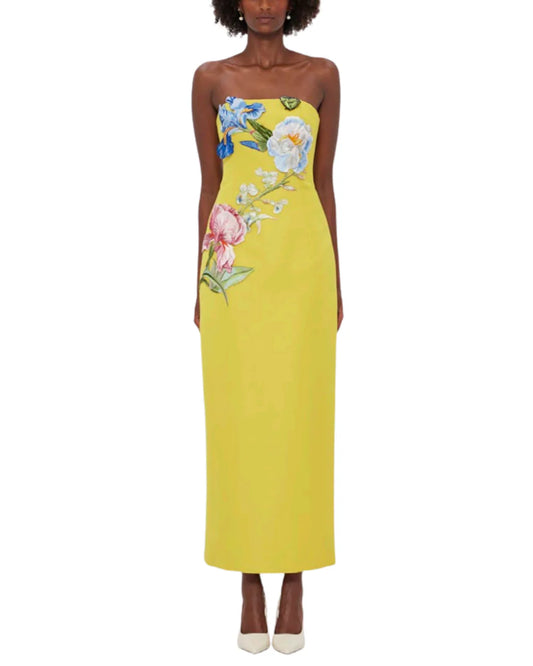 Rayna Applique Floral Bustier Maxi Dress