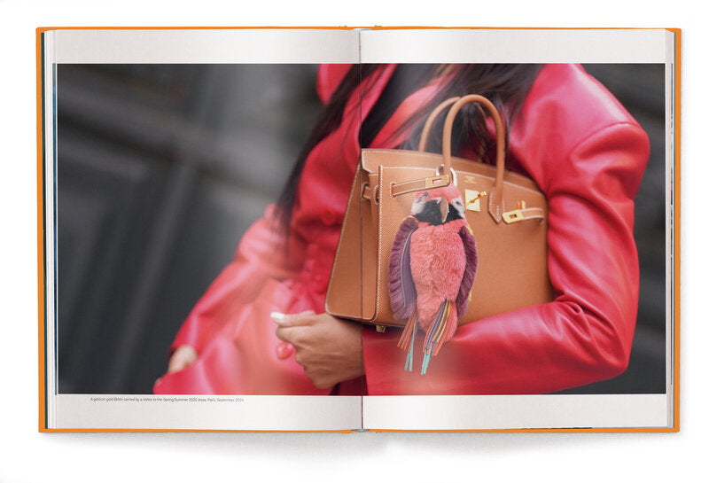 Hermes Bags Book