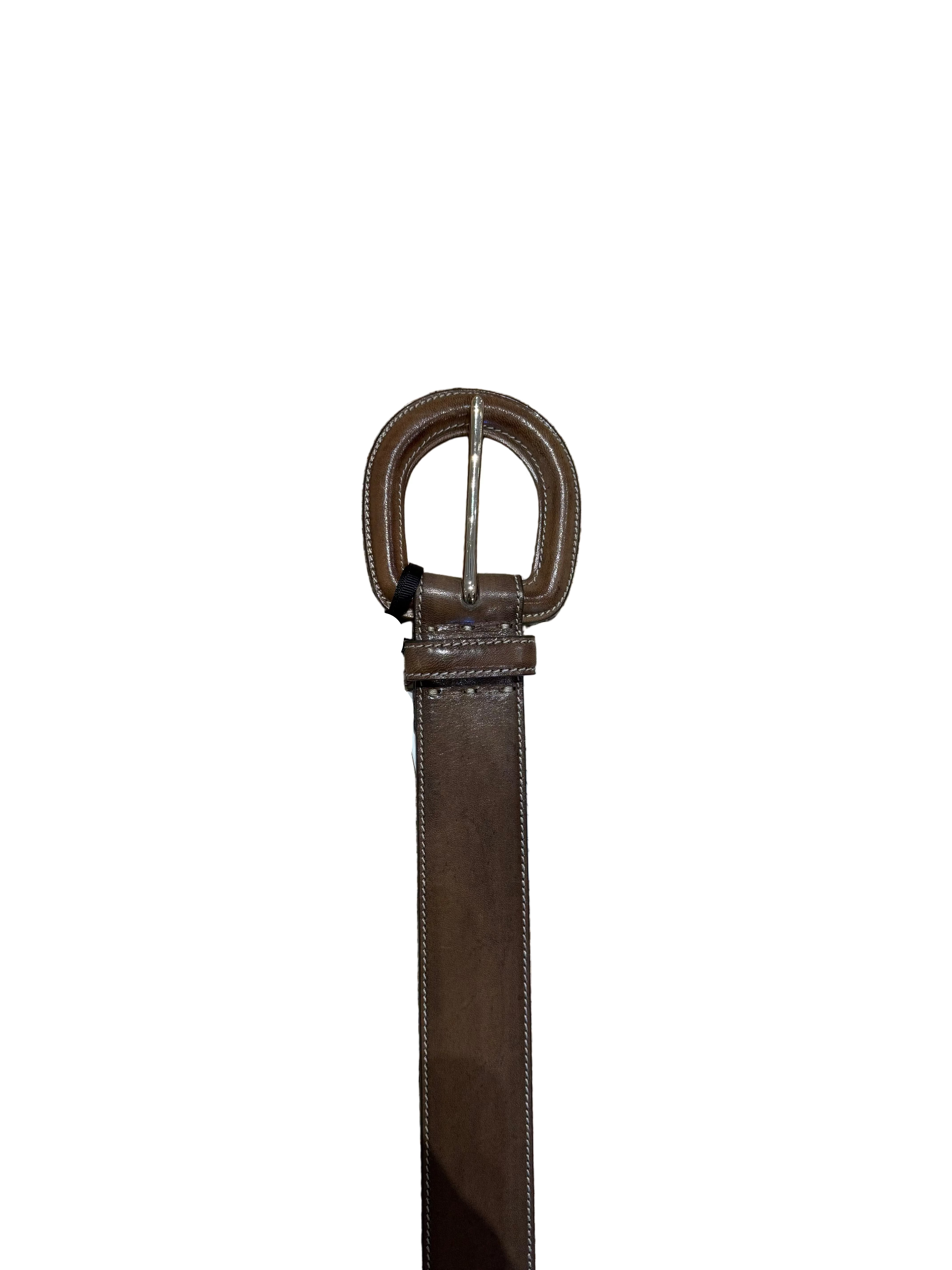 Aloe Belt - The Lake Forest Shop