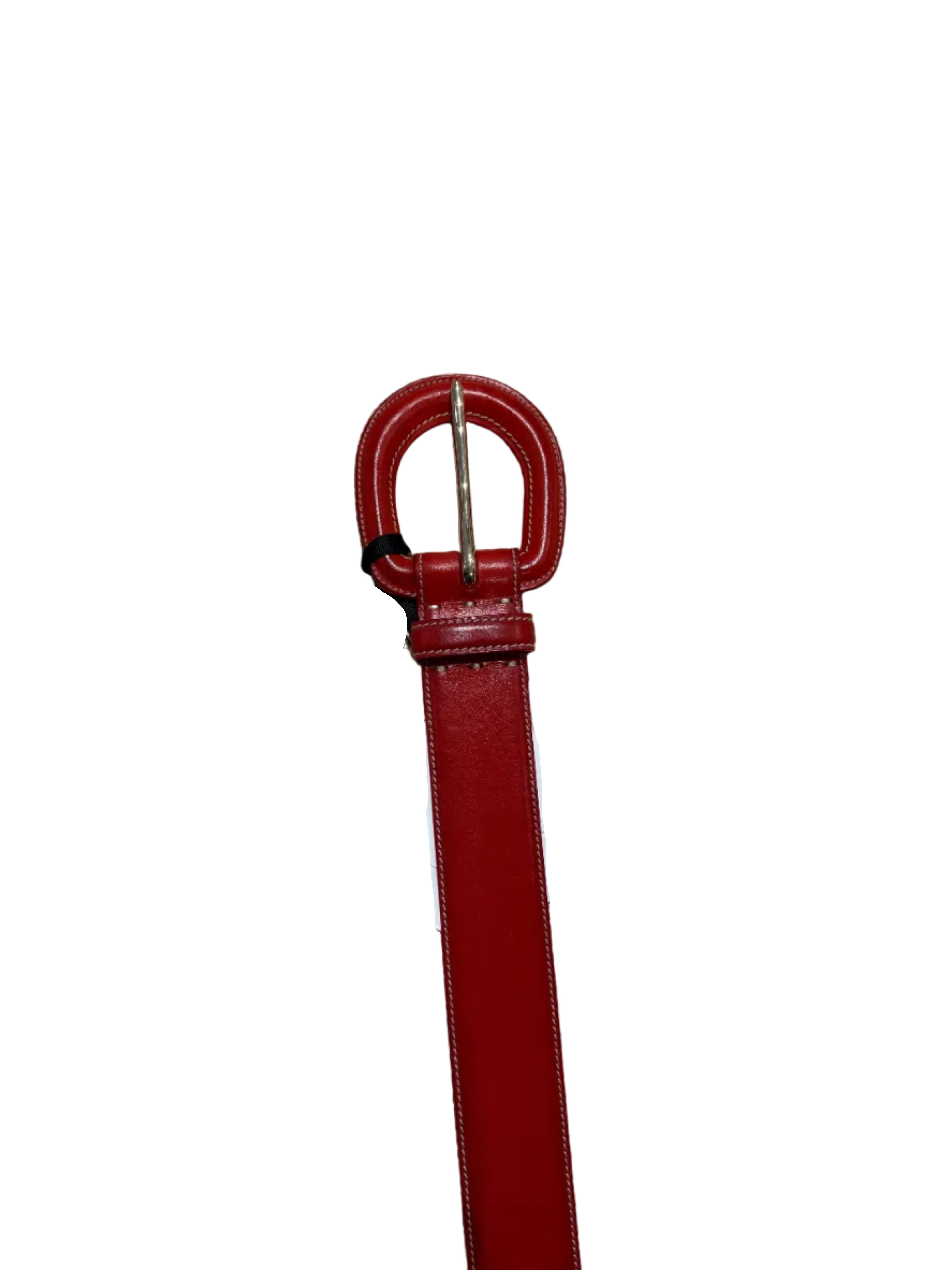 Aloe Belt - The Lake Forest Shop