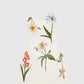 Rosario Velvet Mini Botanical Snow