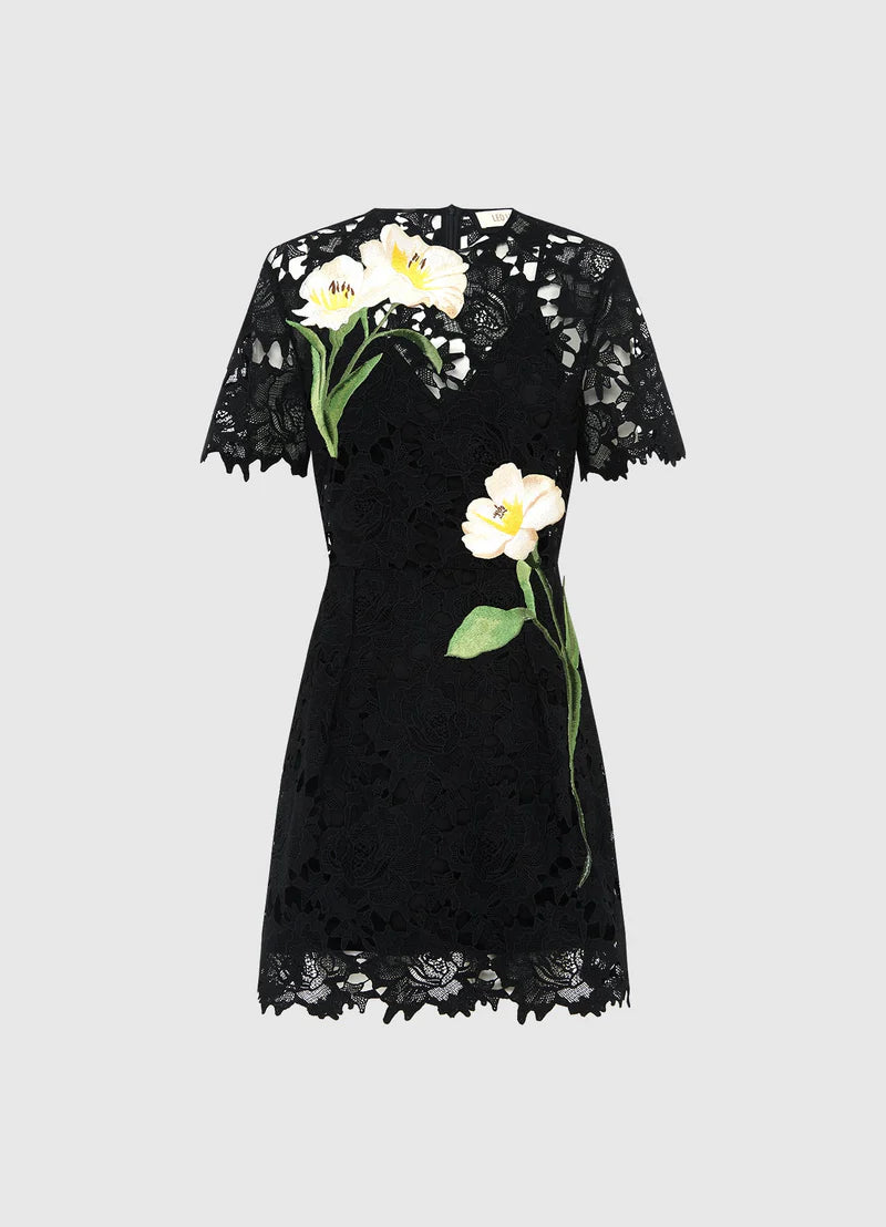 Margo Embroidered Lace Mini