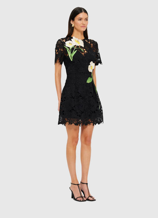 Margo Embroidered Lace Mini