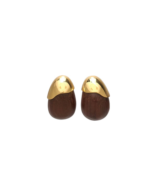 Toro Earrings