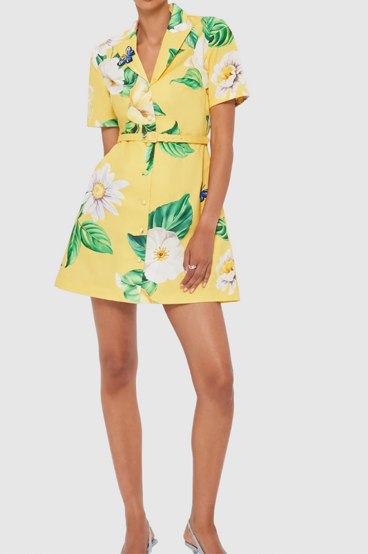 Brigitte Mini Dress