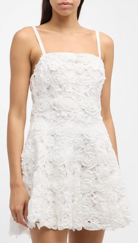 Simkhai Sophie Sleeveless Floral Lace Mini Dress