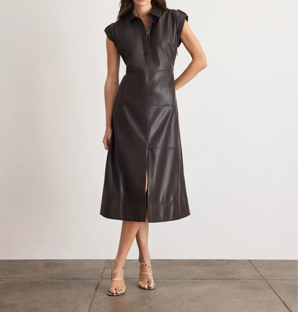 Shivi Dress