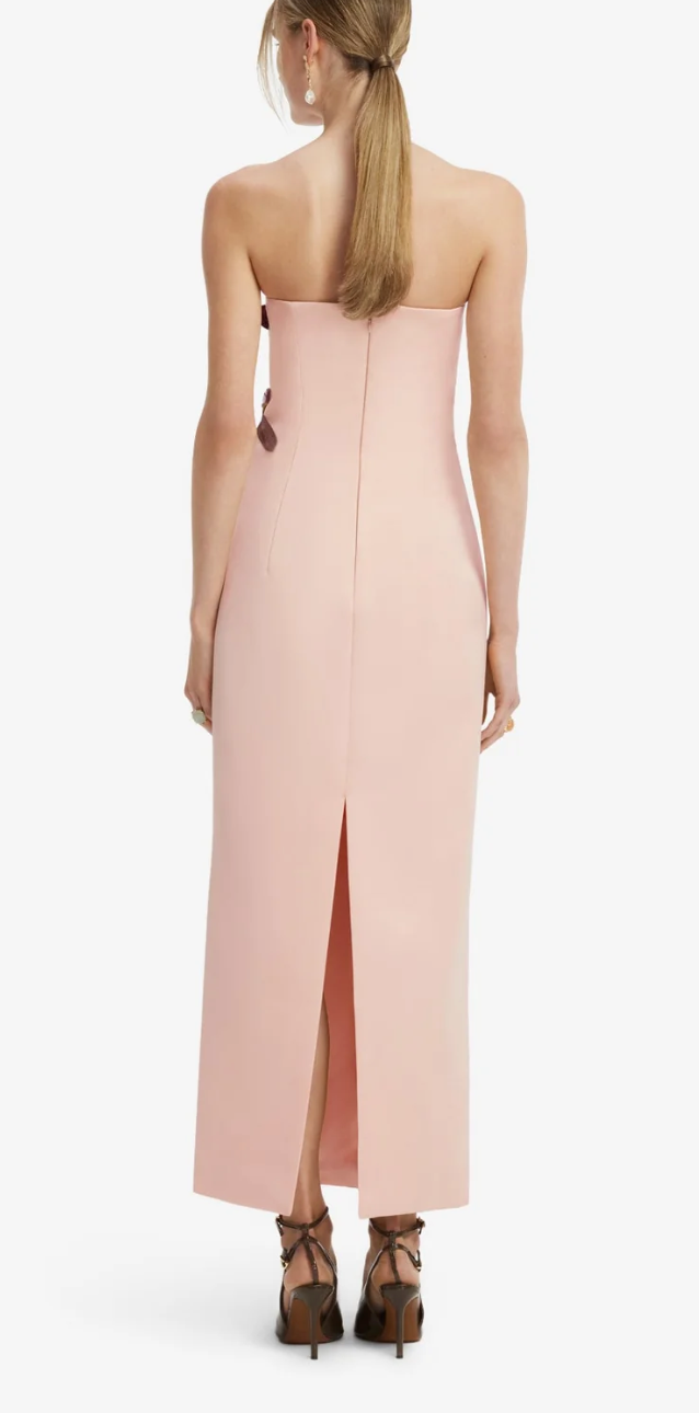 Rayna Embroidered Bustier Maxi Dress
