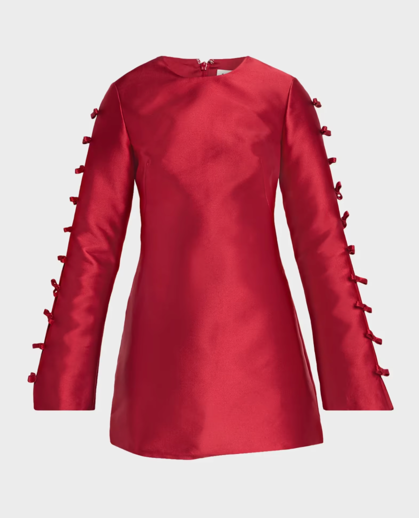 Fiora L/S Mini Dress