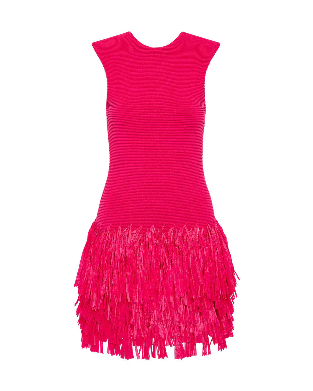 Rushes Fringe Mini Dress Deep Fushia