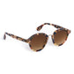 Ashton Sunglasses