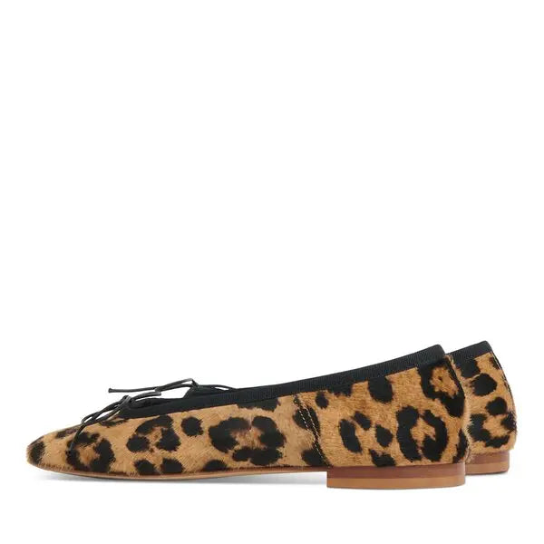 Dance Ballerina Shoes - The Lake Forest Shop