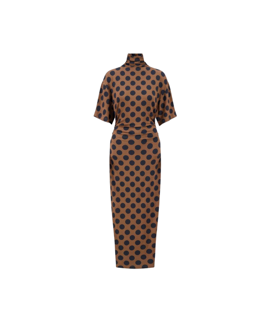 Polka Dot Turtleneck Dress