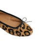Dance Ballerina Shoes