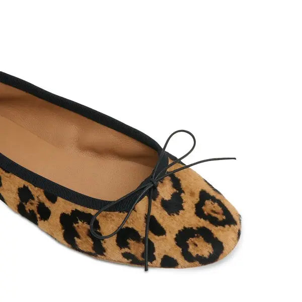 Dance Ballerina Shoes - The Lake Forest Shop